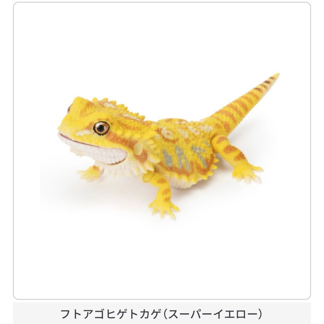 特価　アルマジロトカゲ　フィギュア　爬虫類　トカゲ Amazon.co.jp: いきもの大図鑑レプティ アルマジロトカゲと