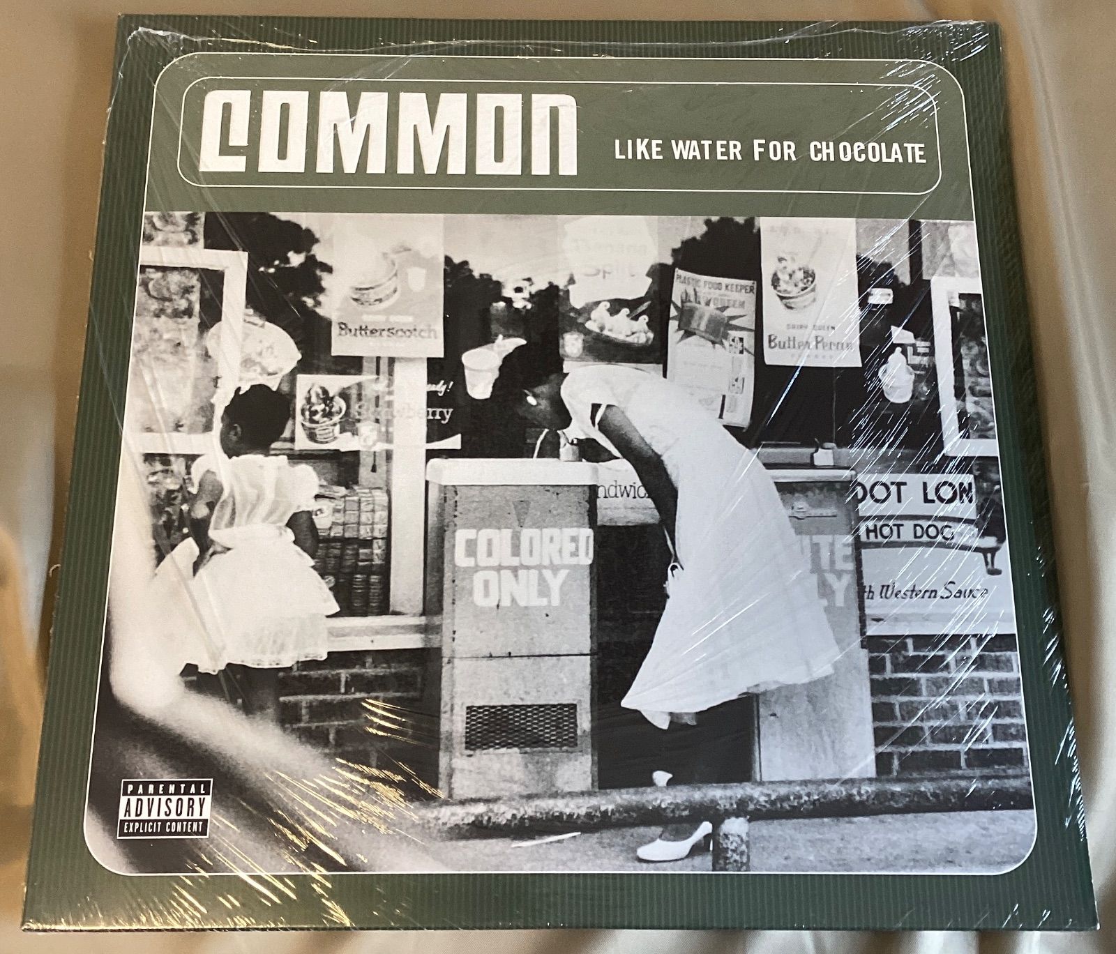 新品COMMON LIKE WATER FOR CHOCOLATE2枚組レコード 新品未開封 Common Like Water for Chocolate 2枚組 アナログ