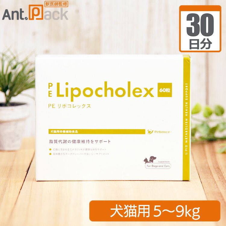 美品 マークアンドロナ ゴルフウェア 中綿ブルゾン 48 赤×紺 撥水 防寒