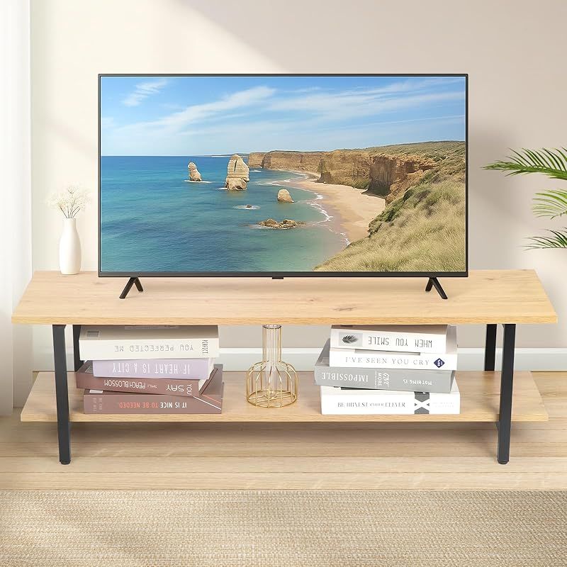 seacall テレビ台 テレビキャビネット 2階建て テレビラック テレビボード ディスプレイ収納 北欧風 幅100×奥行30×高さ30cm 省スペース キャスター付きール 容易なインストール 取付工具付属 リビングルームテーブル 0