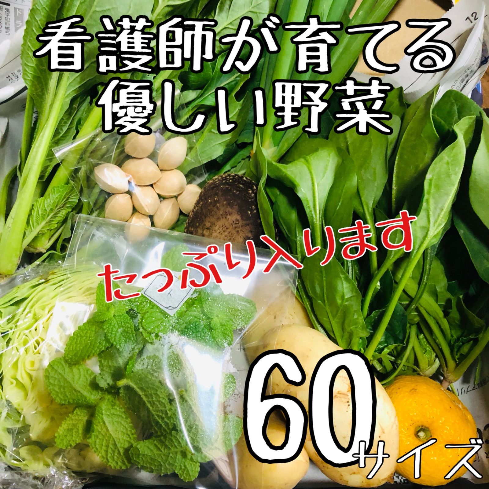 野菜詰め合わせセット - 野菜