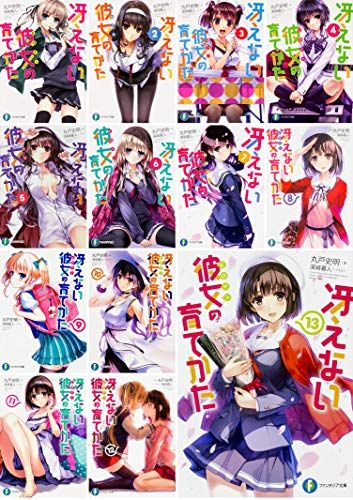 冴えない彼女の育てかた 文庫 全13巻セット (ファンタジア文庫)／丸戸史明