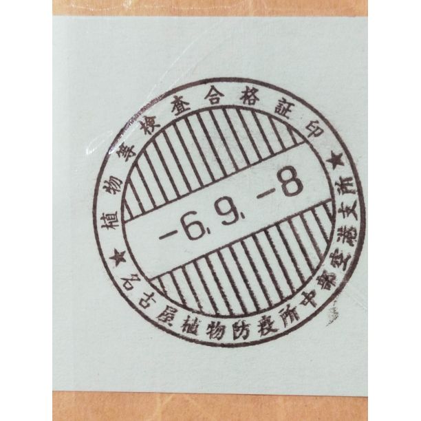 9月入荷 100粒 耐寒 レッド タイガー 斑入りバナナ 種 種子 証明書05