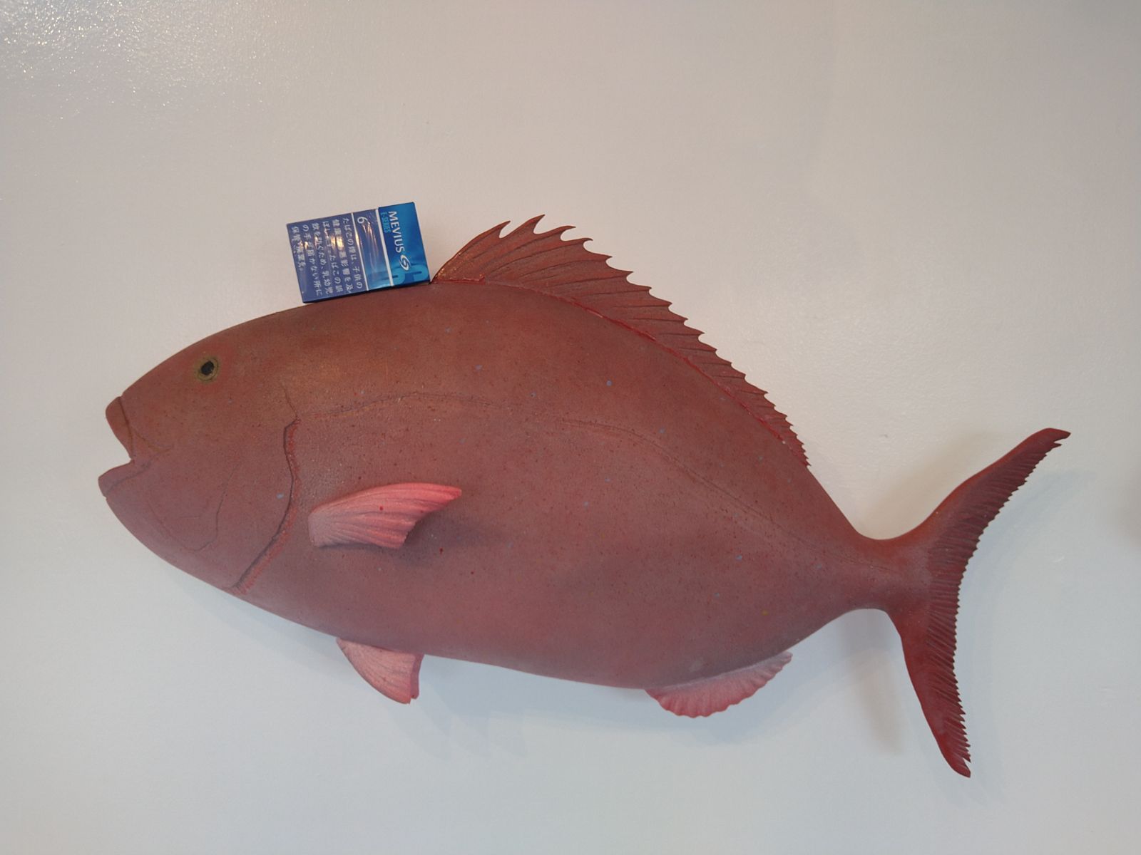 魚の模型（真鯛）