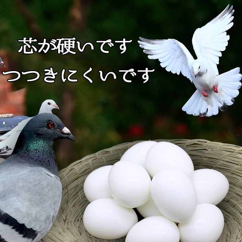 セキセイインコ 小鳥