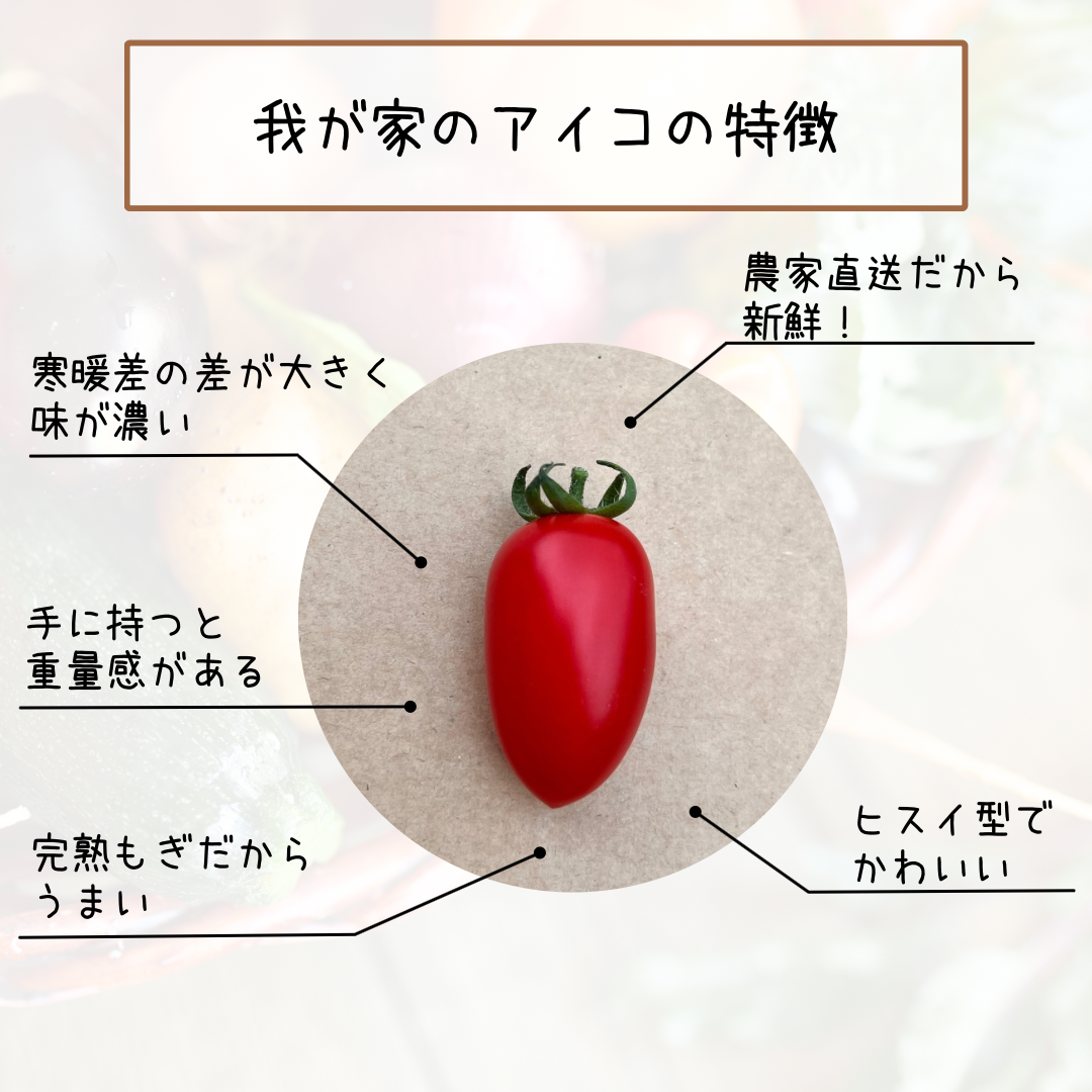 ※訳あり※北海道産ミニトマト　アイコ　3キロ