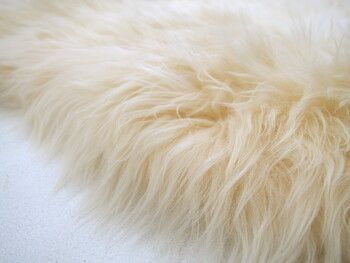 約60×90cm 長毛