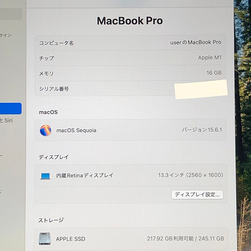 本体のみ Apple MacBook Pro 13インチ M1 2020 M1チップ メモリ16GB SSD256GB A2338 EMC3578 MB-251524 351784