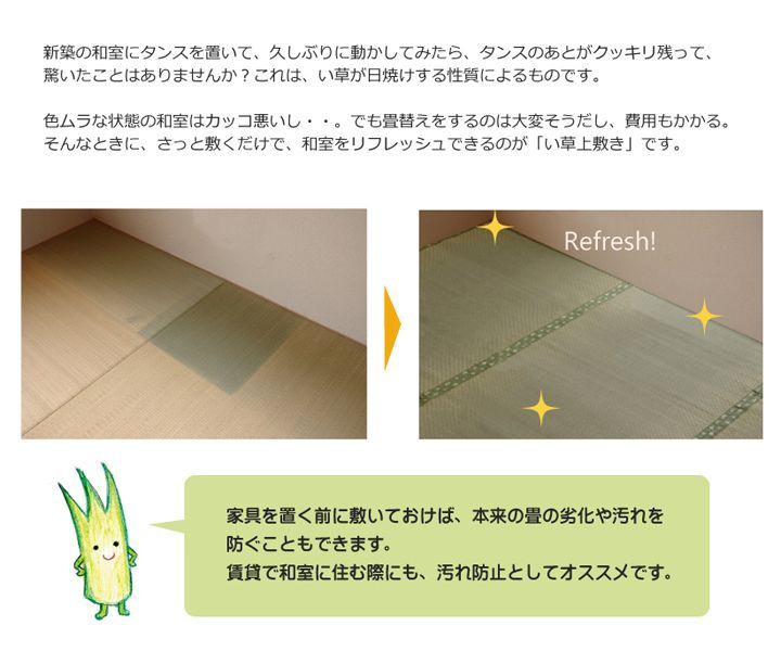 BIK1014145 フリーカット い草 上敷き カーペット F不知火 団地間 8畳