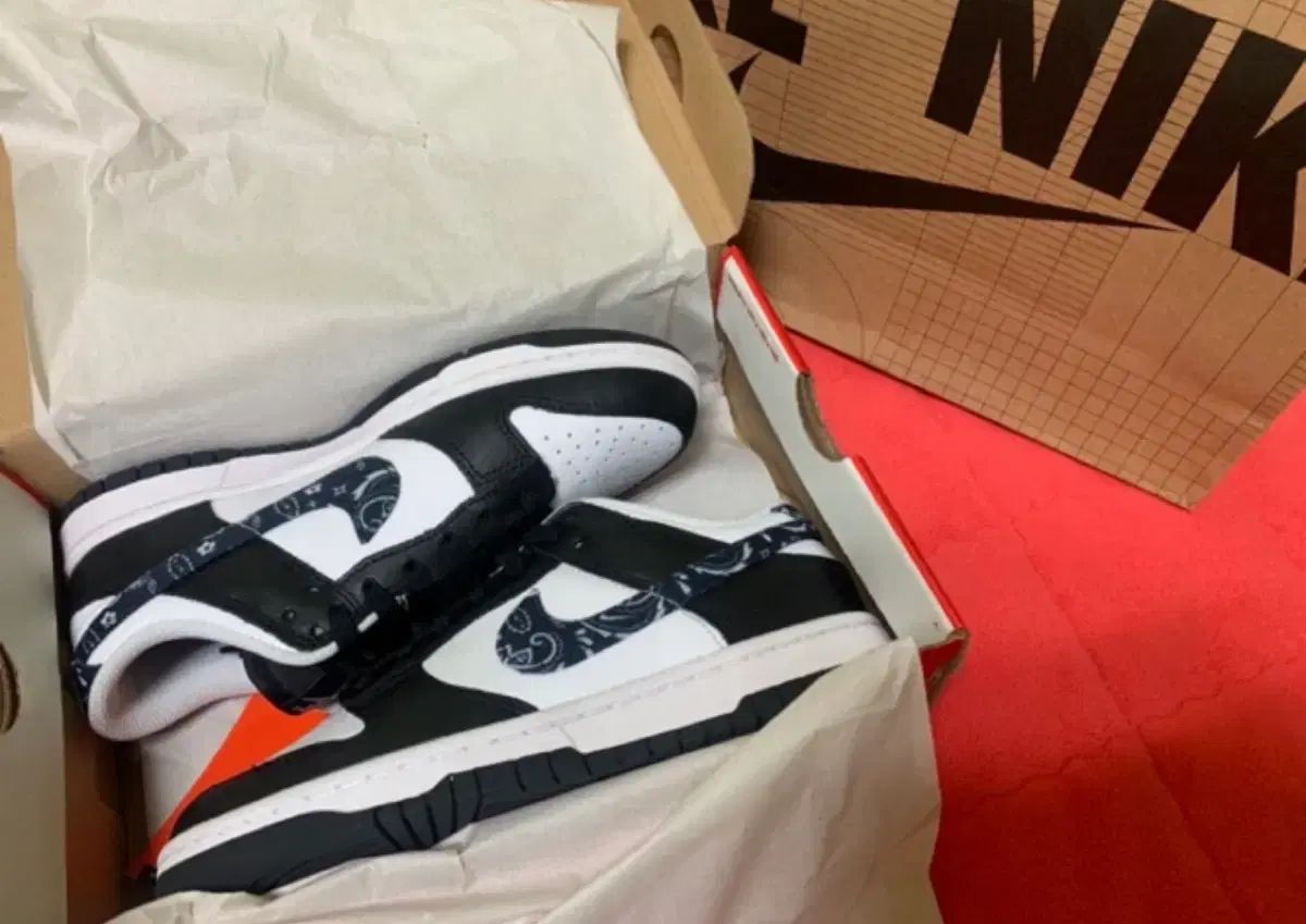 ミシシに到着