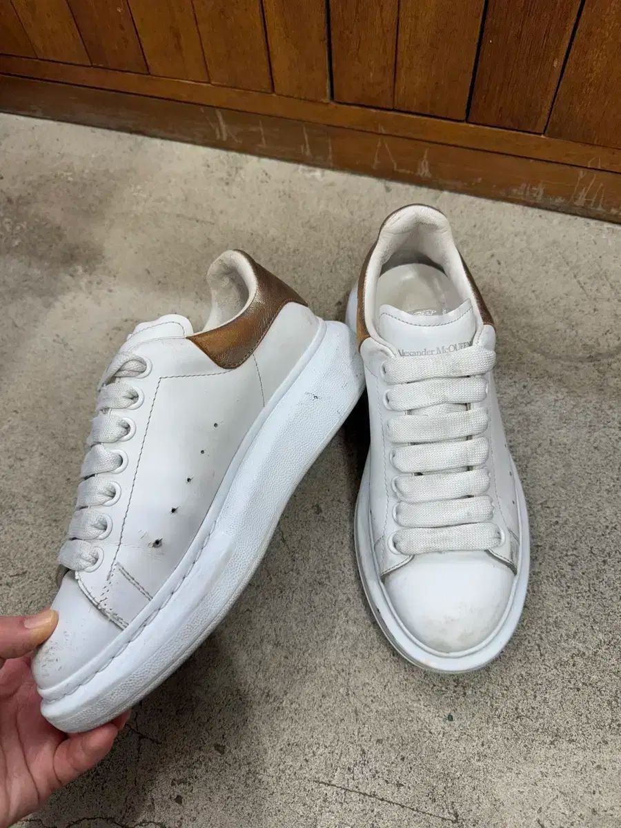 正規品 アレクサンダー alexander mcqueen(アレキサンダー