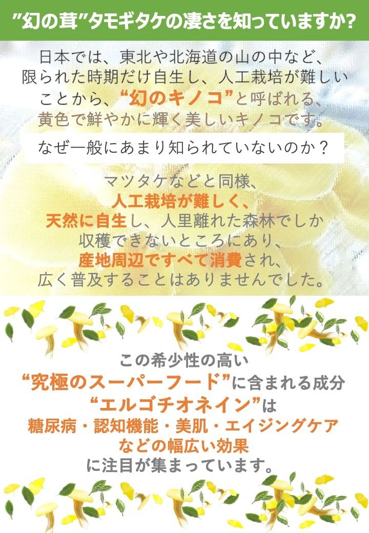 120粒1か月分×3袋