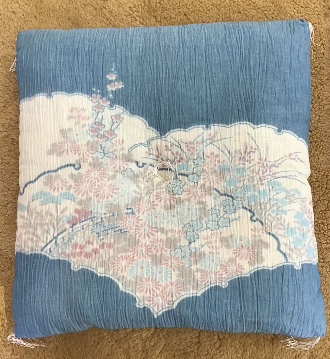 近江縮