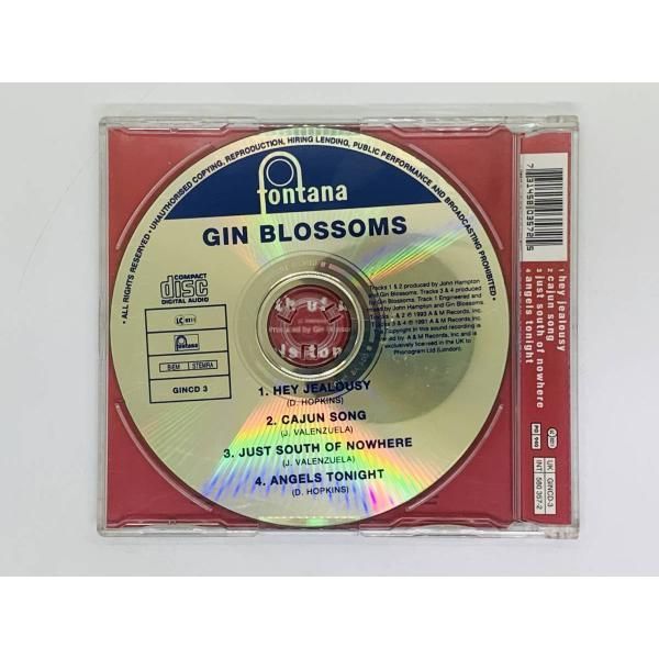 CD Gin Blossoms Hey jealousy / CAJUN SONG JUST SOUTH OF NOWHERE ANGELS  TONIGHT / 激レア M05