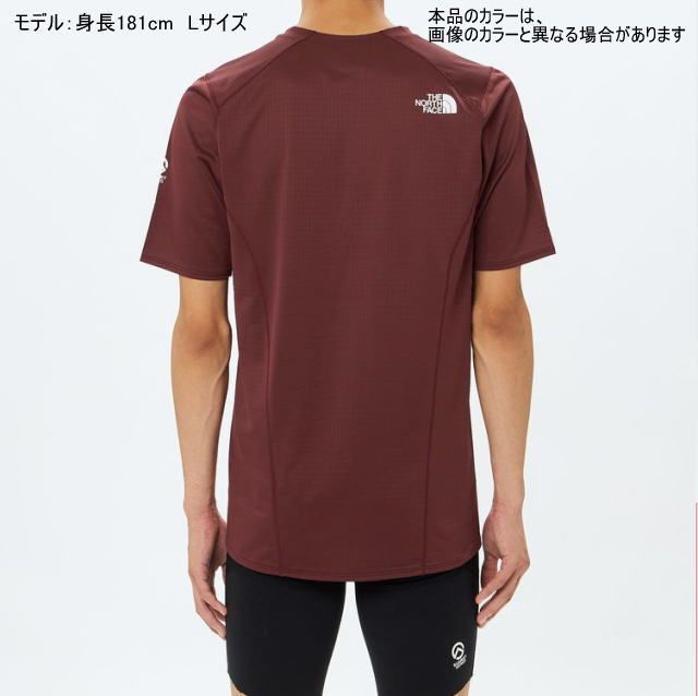 メンズ ティングレー