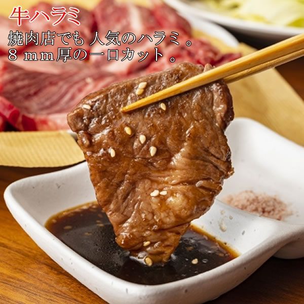 焼肉1ｋｇセット／牛霜降中落ちカルビ５００ｇ＆牛ハラミ５００ｇ