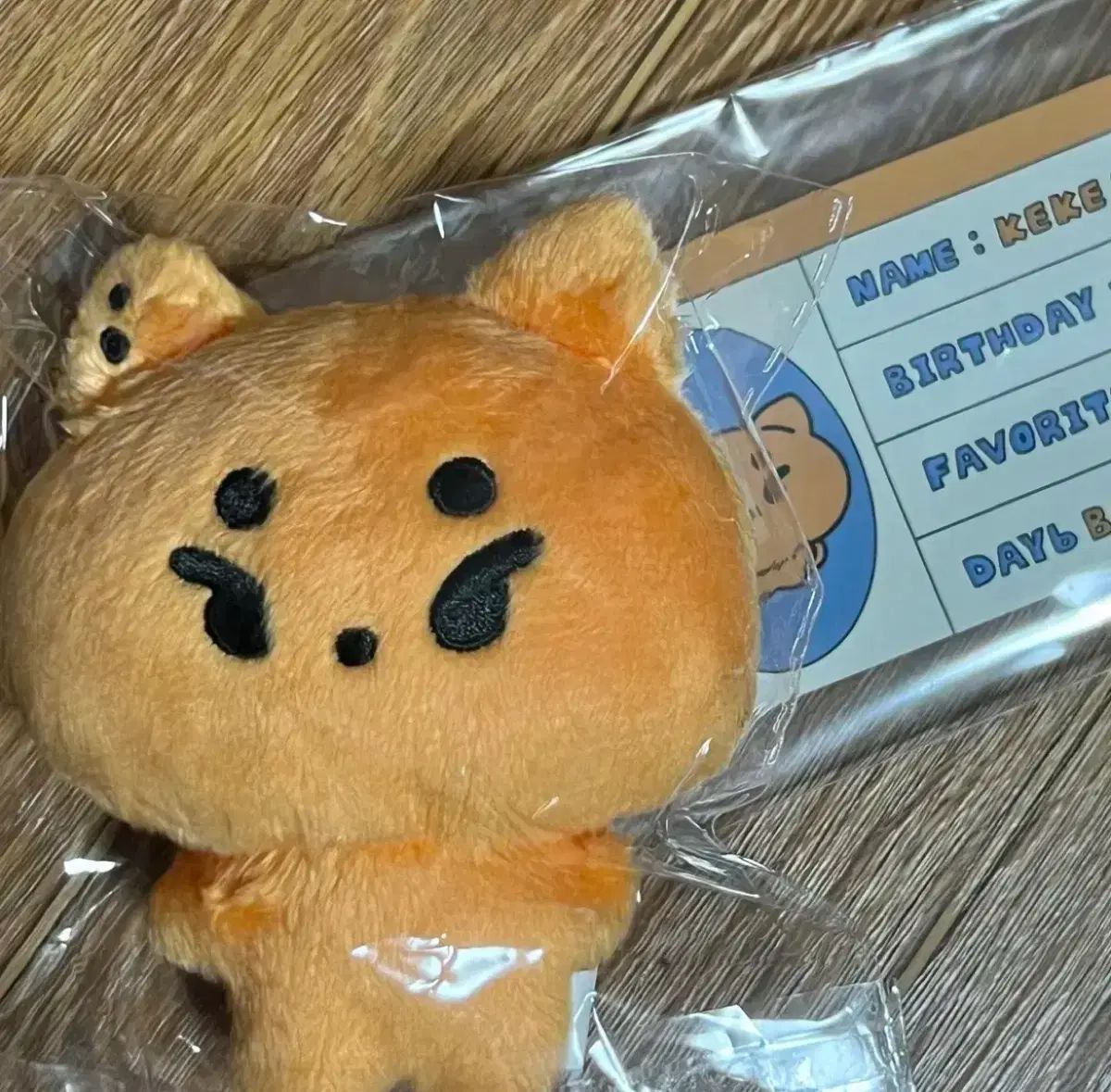 DAY6 ヨンケイ　ぬいぐるみ DAY6(デイシックス) デニマルズ(DENIMALZ) ケー 服 衣装