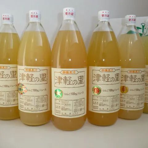 りんごジュース｢津軽の里｣ 1L×12本