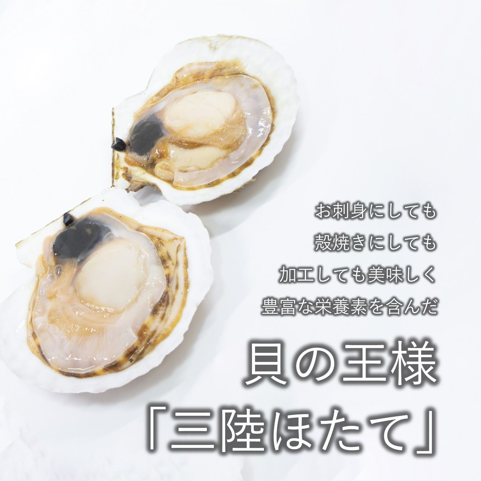 三陸産 ホタテ＆牡蠣セット 殻付きホタテ10枚 殻付き牡蠣2kg 三陸の肉厚ホタテと身入りの良い牡蠣 BBQにも最適！冷凍で旨味を閉じ込め日持ちも抜群！