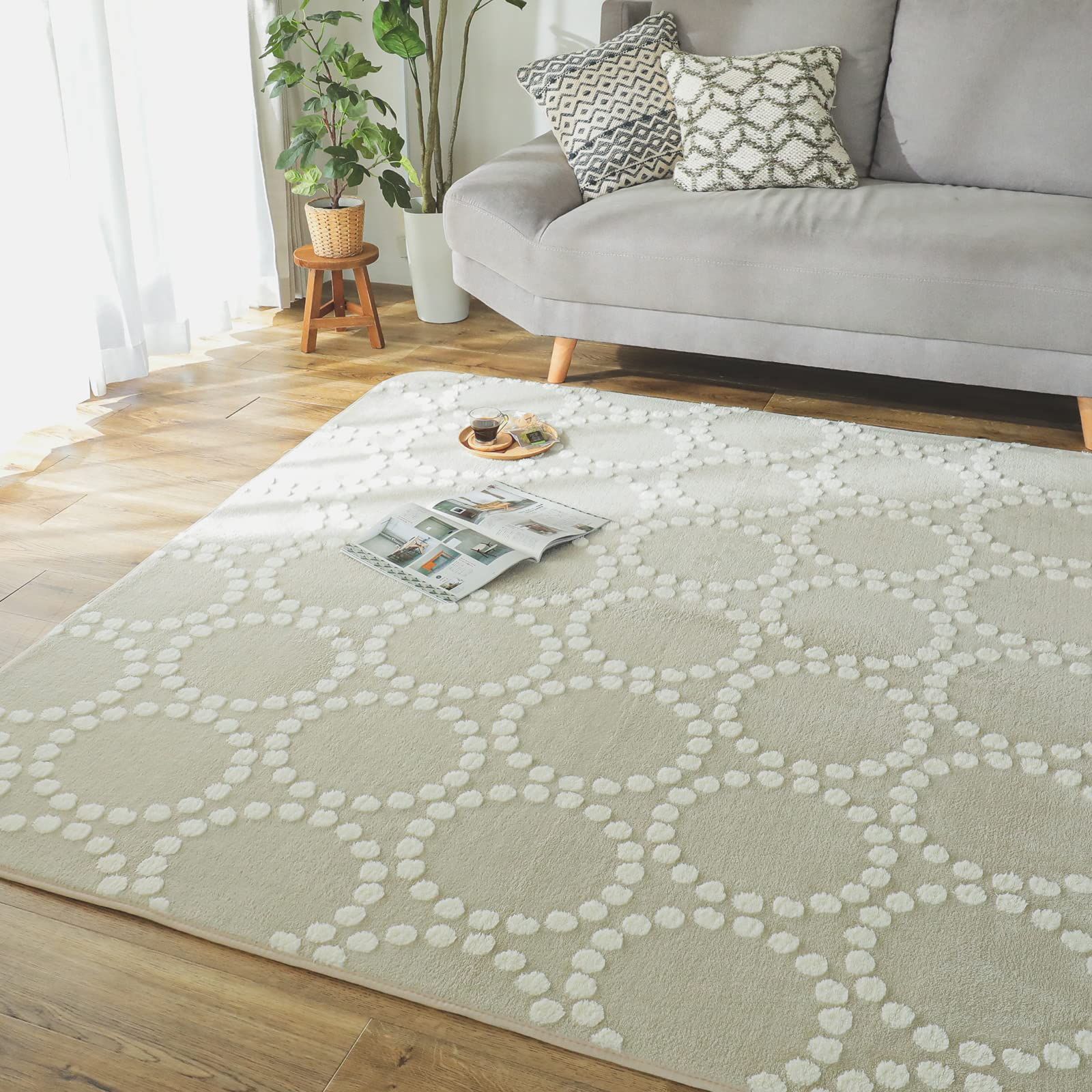 餃子右衛門様ビカクシダ☆リドレイ中型株☆板付き☆コウモリラン