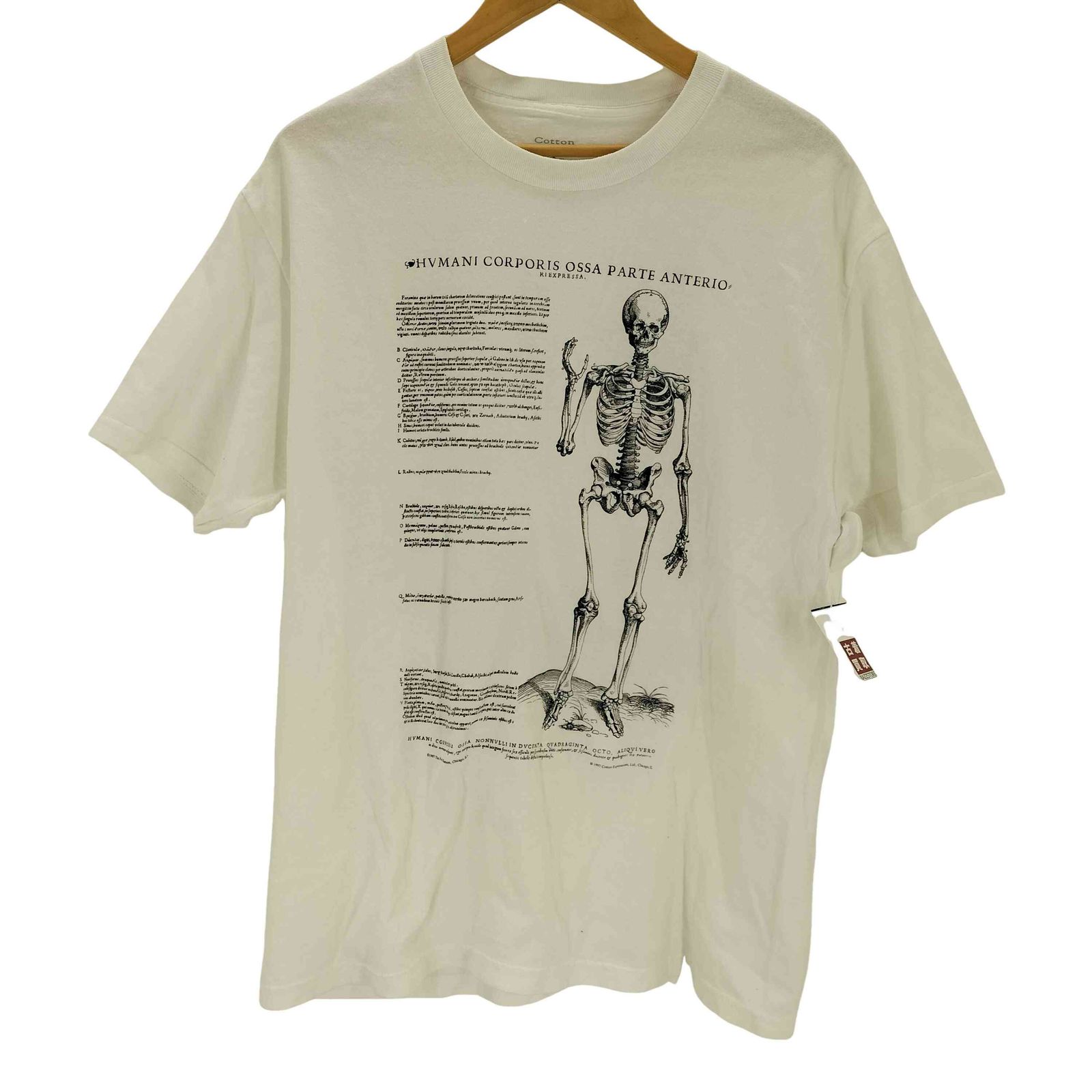 ユーズドフルギ USED古着 Cotton Expressions VASALIUS SKELTON T-SHIRT メンズ JPN：L 