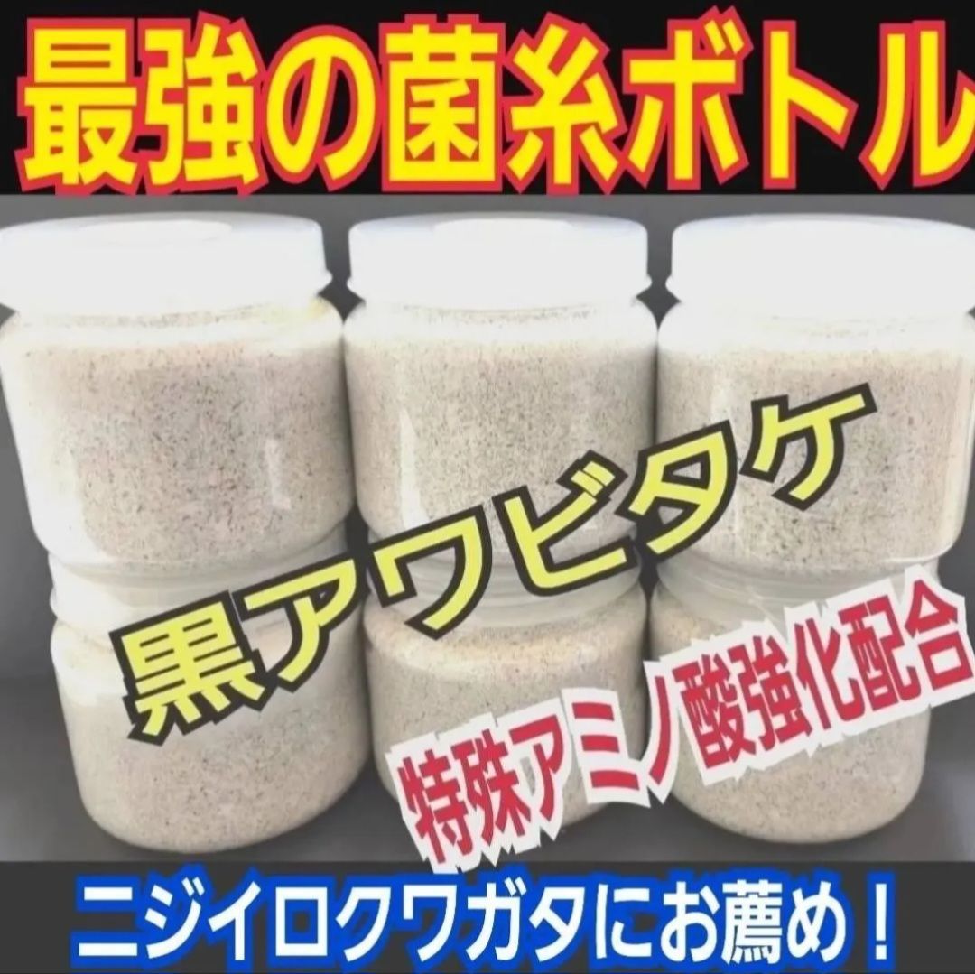 ノコギリの初令 2令にもお薦めです