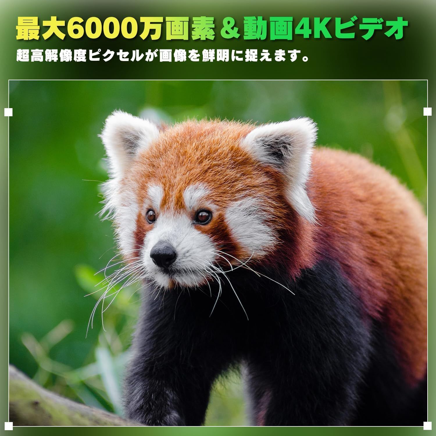 防犯カメラ トレイルカメラ 屋外 6000万画素 4K動画 小型