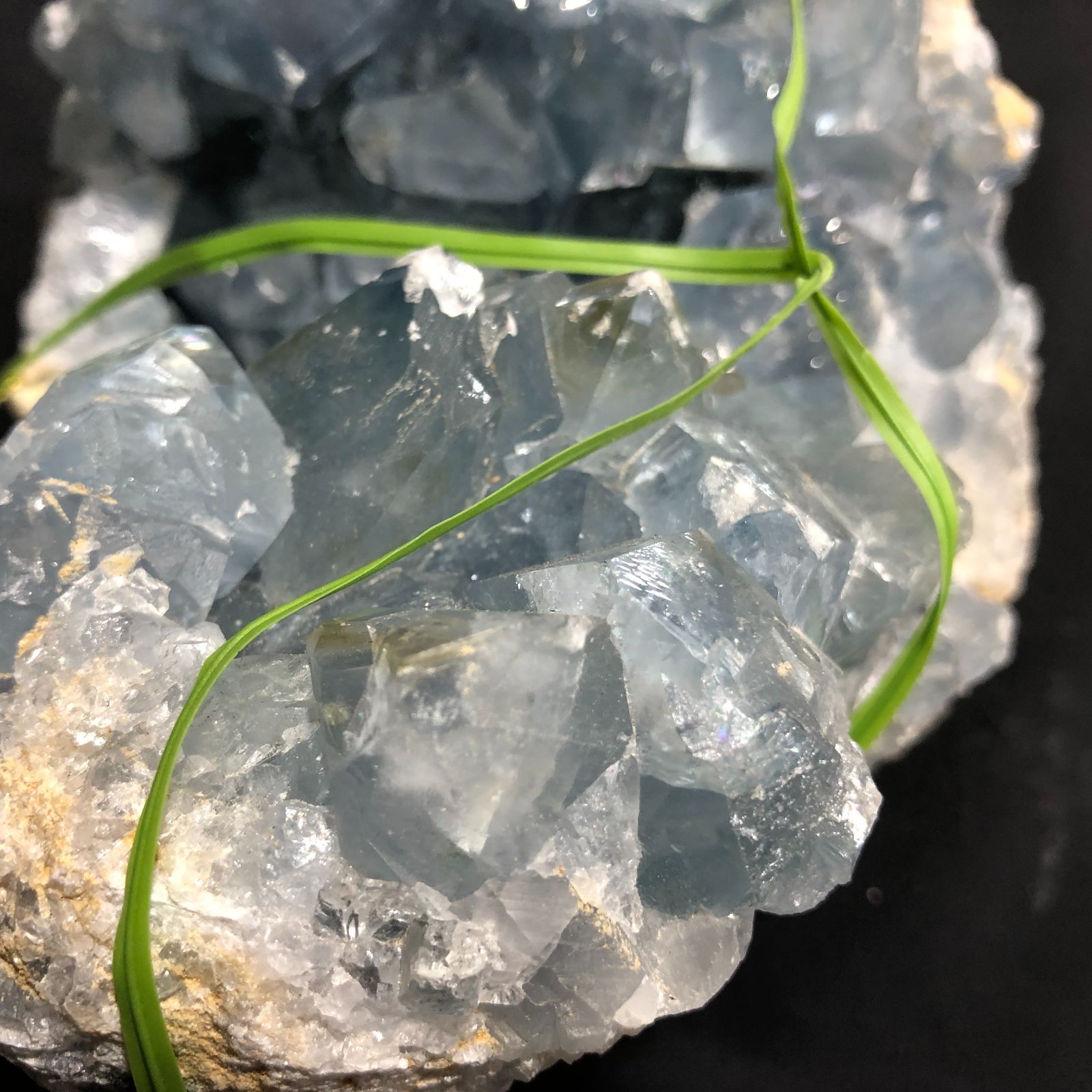 マダガスカル産