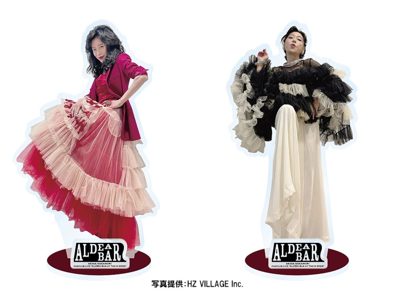 CD 中森明菜 ファンクラブ限定 CD GAME