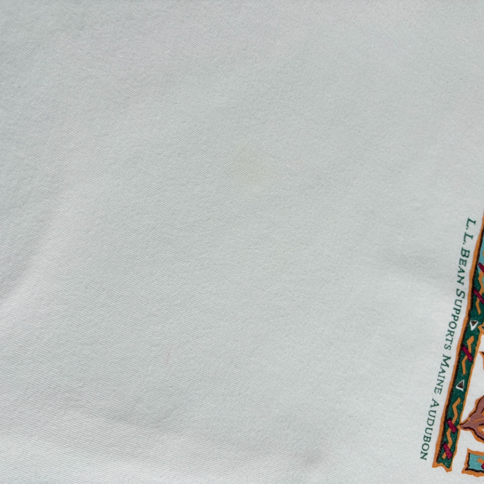 90s L.L.Bean Atlantic Ridley Turtle Printed T-shirt エルエルビーン 