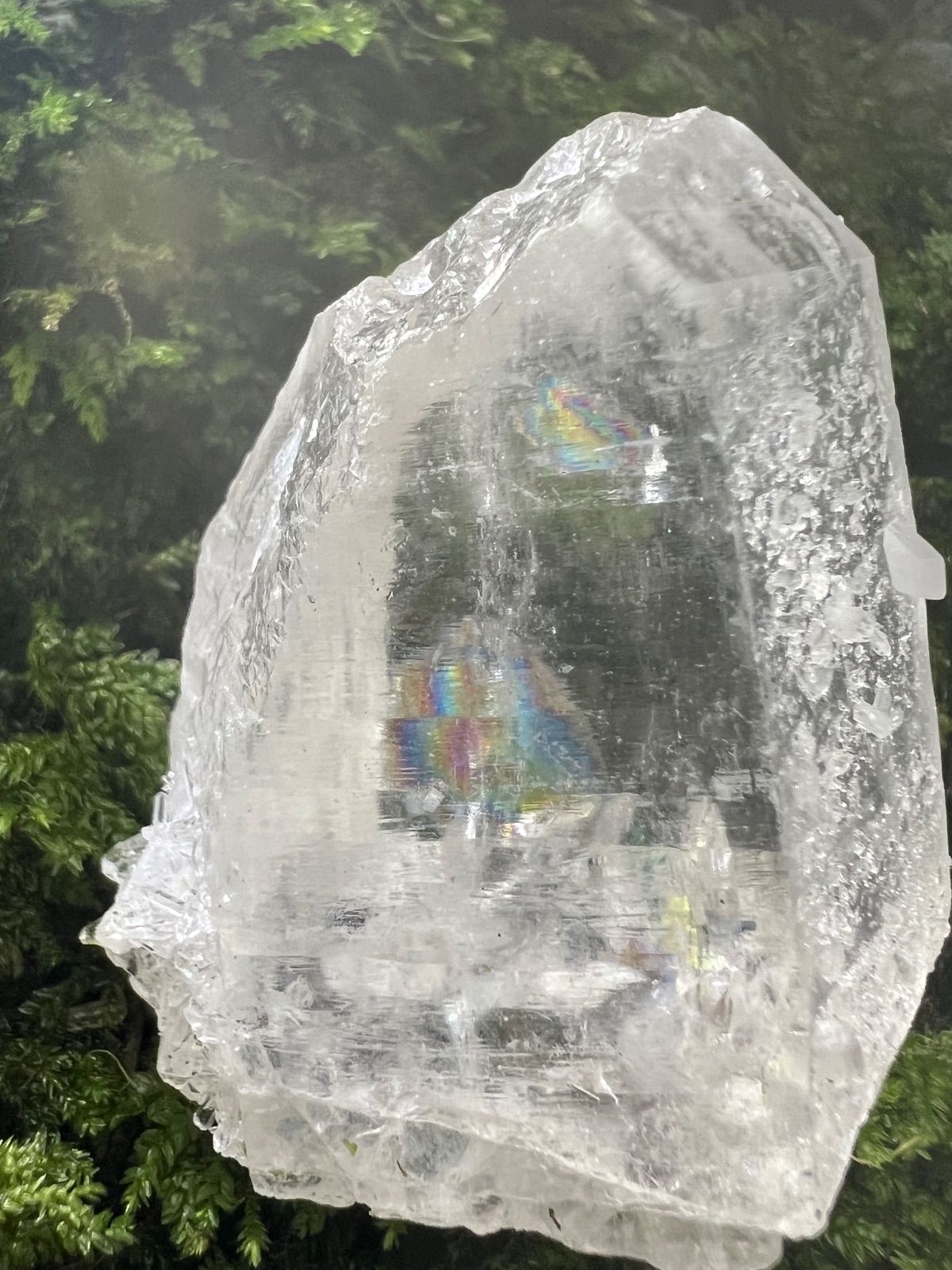 龍脈の精髄 ― 虹入り水晶 純白の守護と浄化の光 売上の一部は保護猫活動に使用