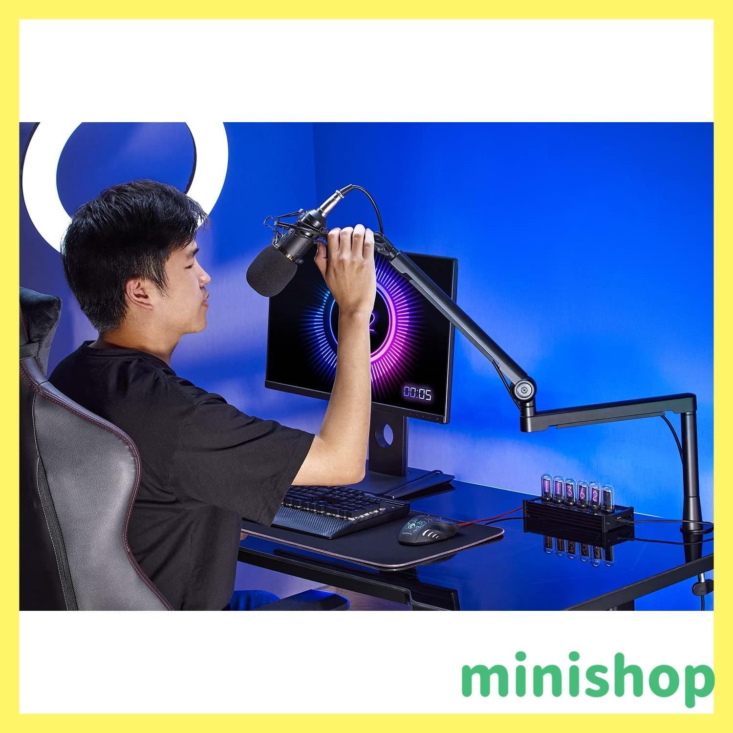 Microphone Arm