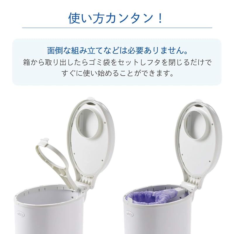 本体