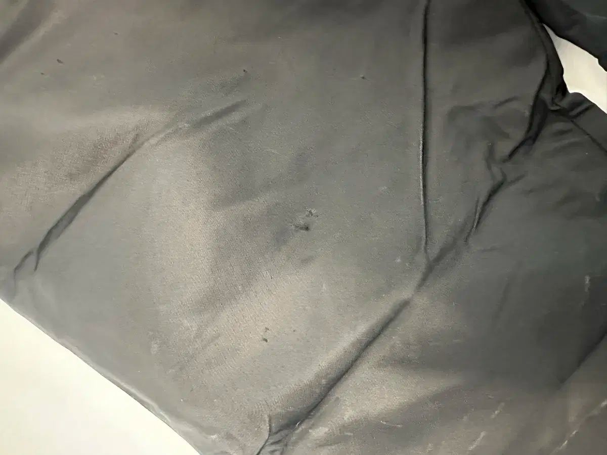 林之耀「斑紋与進化」 シルクスクリーン作家直筆サイン入り額縁無し