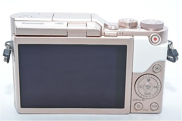 LUMIX DC-GF10 ズームレンズ 単焦点レンズ セット DC-GF10 25mm単焦点