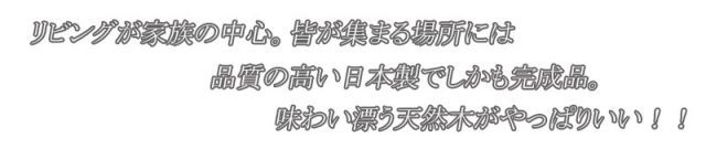 Alder 木目の美しい北欧風天然木アルダー材のカウンター下収納120引戸