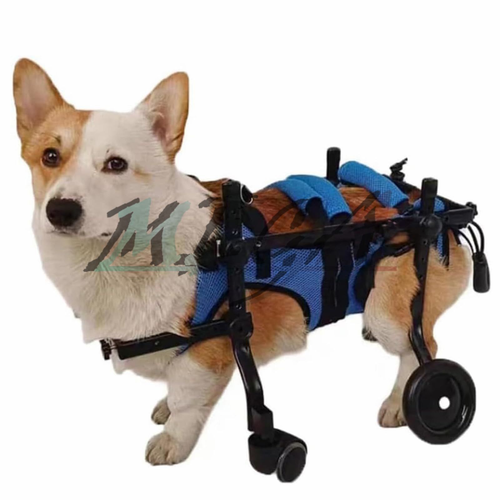 【SALE／55%OFF】 犬用車椅子 XS 2輪、4輪可能な万能タイプ 歩行器 車椅子 介護 その他