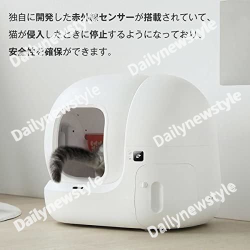 掃除簡単