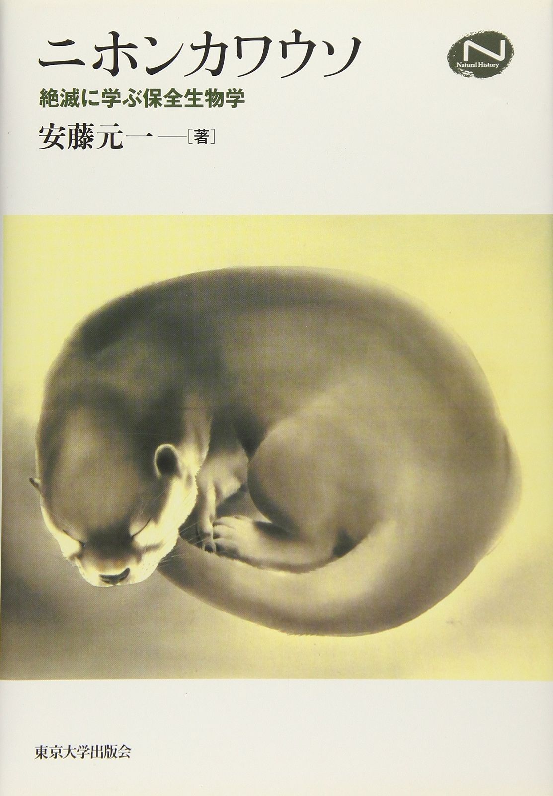 美しい緑色の漆器箱 - 彫刻模様付き - 古い説明文付き（展示