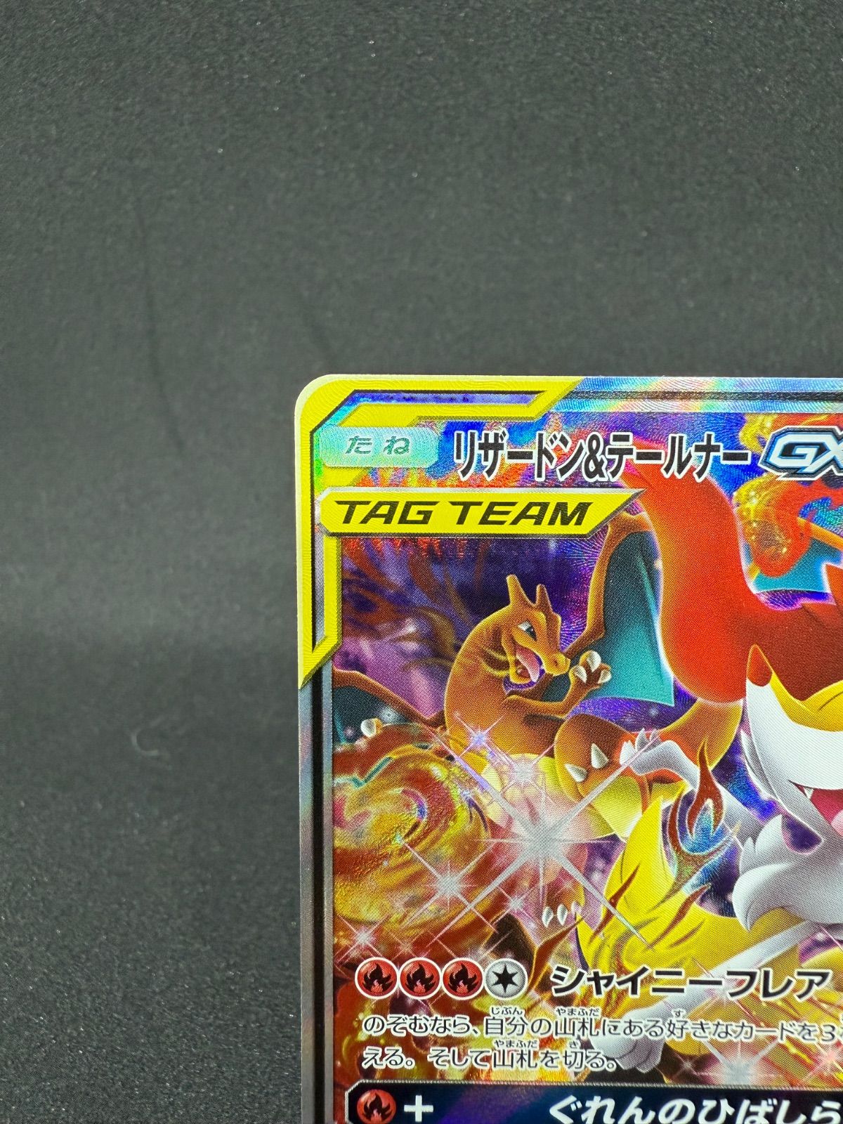 リザードン&テールナー GX SA リザードン&テールナーGX 【公式通販】