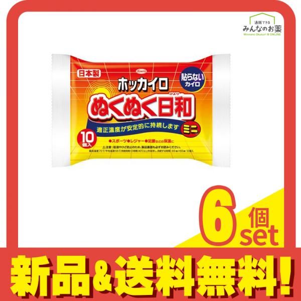 ホッカイロ ぬくぬく日和 貼らないタイプ ミニ 10個入 6個セット