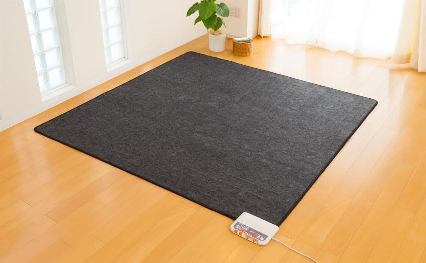 ゼンケン 電磁波99%カット 電気ホットカーペット 2畳用 本体のみ 暖房7面切替 こたつ併用 速暖 ダニ対策機能 ZCB-20S