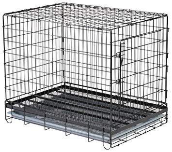 市瀬　ハチコウステンレスケージ Amazon | 市瀬 ハチコウステンレスケージ SSM-SOP | 市瀬 | 飼育ケージ