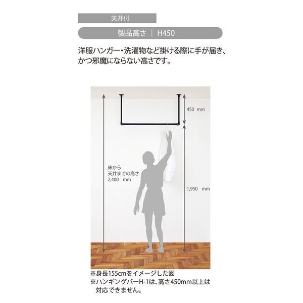 30017003 ハンギングバー