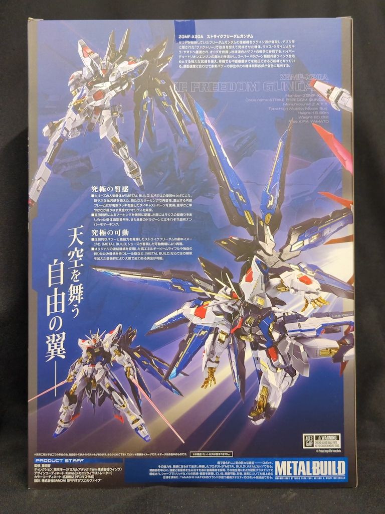 BANDAI SPIRITS METAL BUILD 機動戦士ガンダムSEED DESTINY
