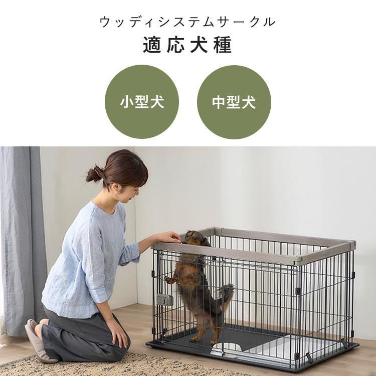 小型犬