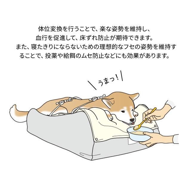XLサイズ