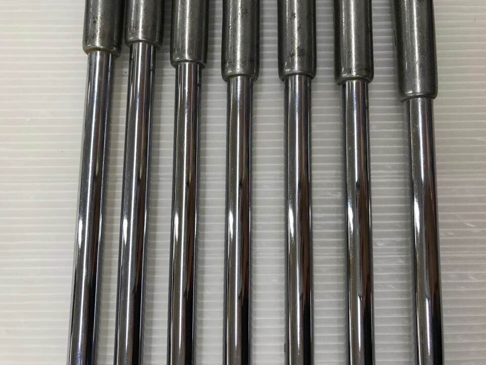SILVER SCOT