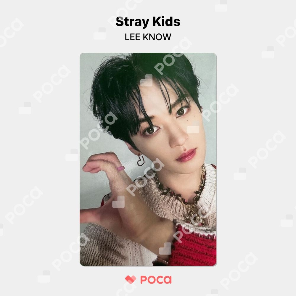 Stray Kids - straykids MAXIDENT ラキドロ リノ トレカ straykids スキズ アルバム maxident トレカ リノ - メルカリ