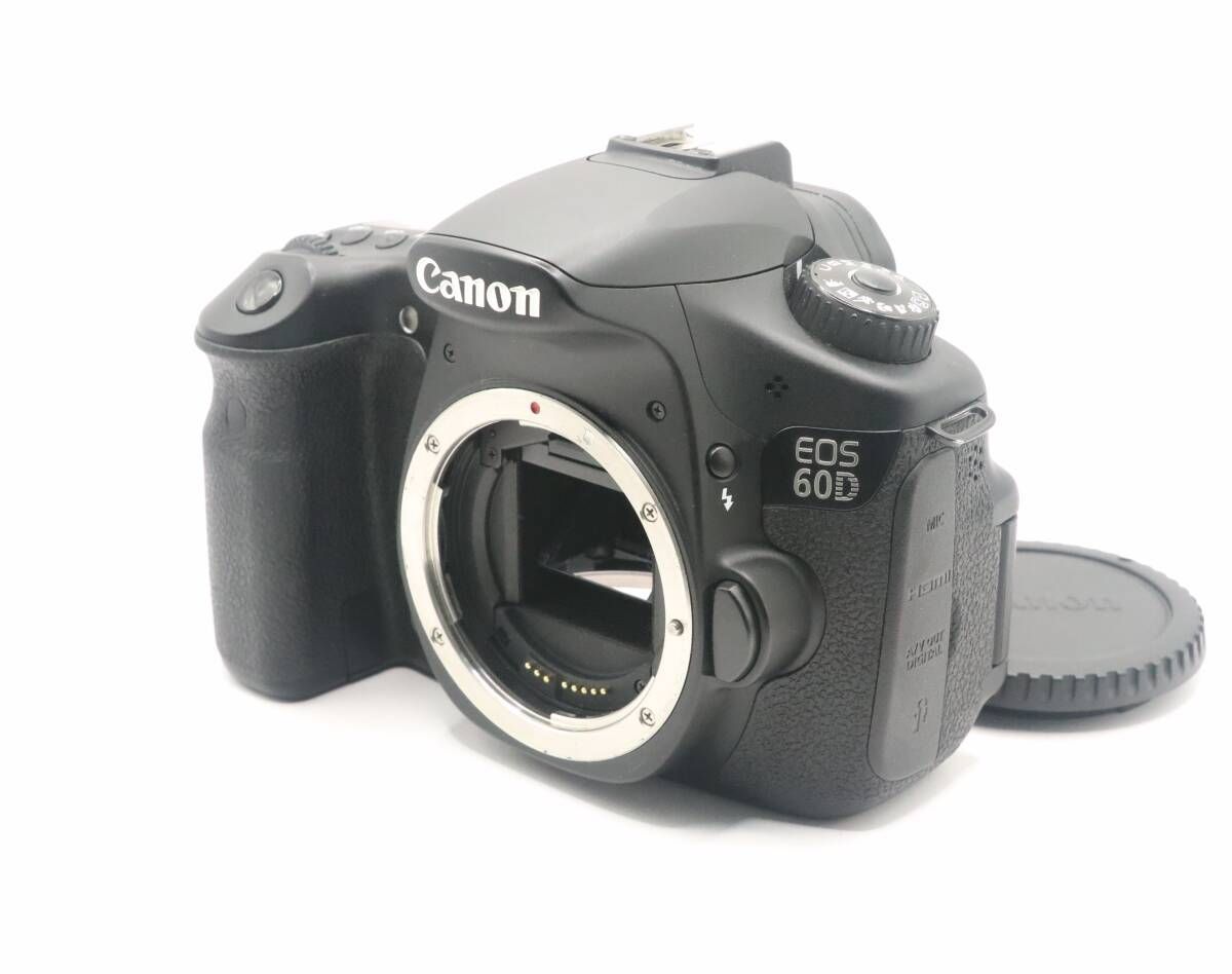 上品 ショット数 5 667枚 キヤノン CANON EOS 60D ボディ I0588＃2468